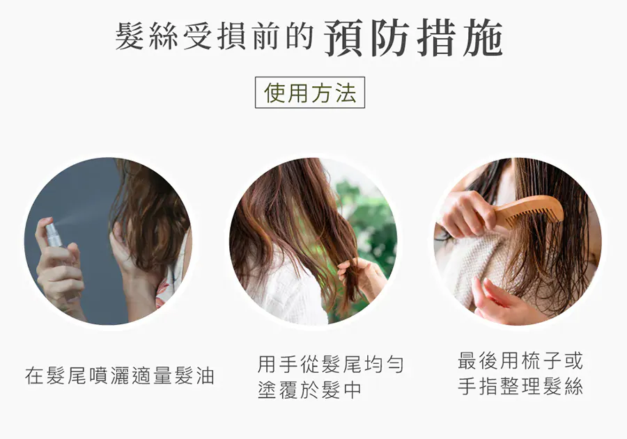 11.webp